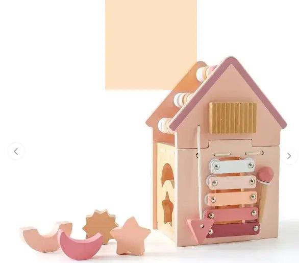 5-in-1 Educational Toy