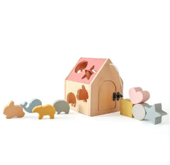 5-in-1 Educational Toy